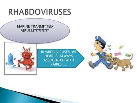 Rhabdoviridae ppt