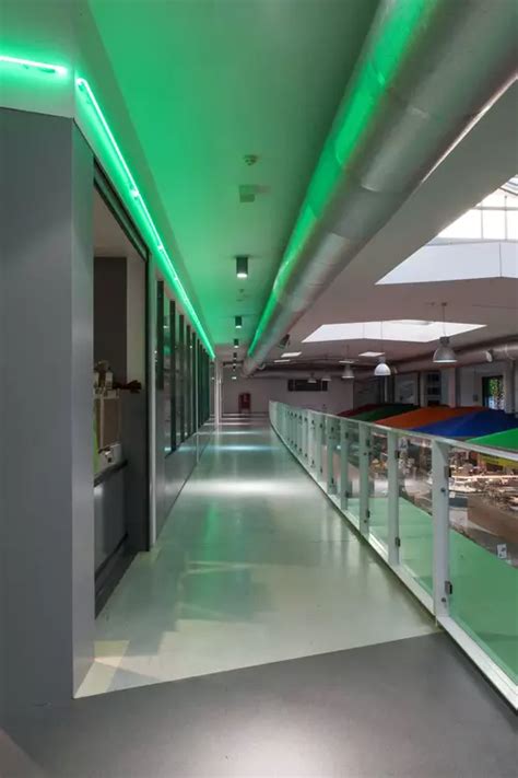 Ceiling neon lights - ideas & best practice - Blog Sygns