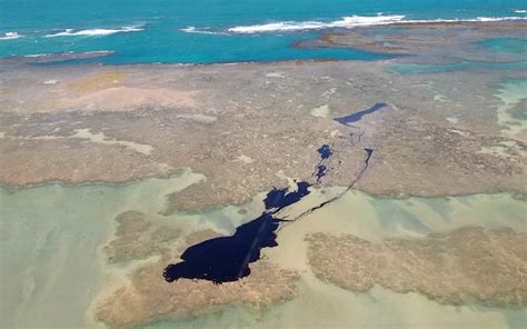 Manchas De Leo Voltam A Aparecer No Mar De Pernambuco Itamarati News