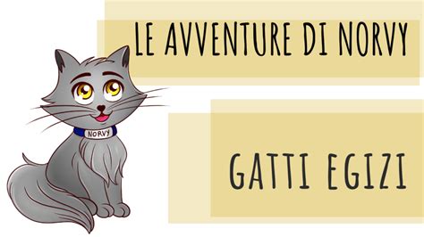 Le Avventure Di Norvy Il Gatto Immaginario Di Luca E Chiara Gatti