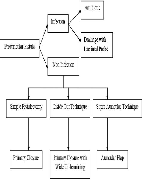 Figure 15 From Surgical Management Of Preauricular Fistula Based On