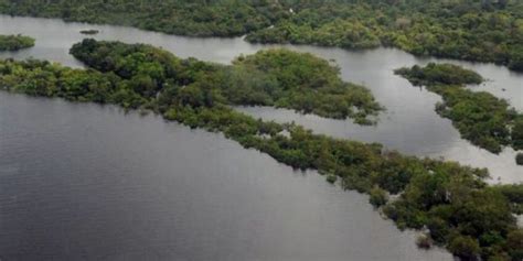 Brasil Ibama Age Em Apenas Dos Alertas De Desmatamento Revela