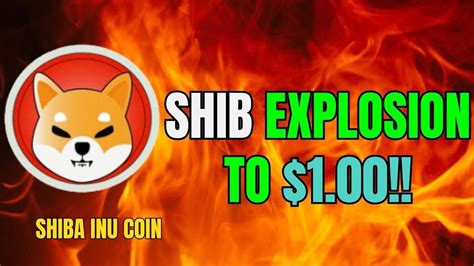 Shiba Inu News Today Robinhood Amc Just Flipped On Shiba Inu Coin