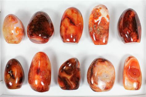 Lot Cut Base Polished Carnelian Pieces For Sale