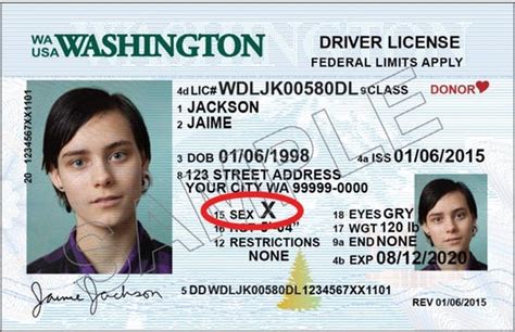 Gender X New Option On Pa Drivers License