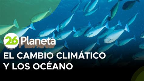 El Cambio Clim Tico Devora El H Bitat De Los Grandes Peces Del Oc Ano