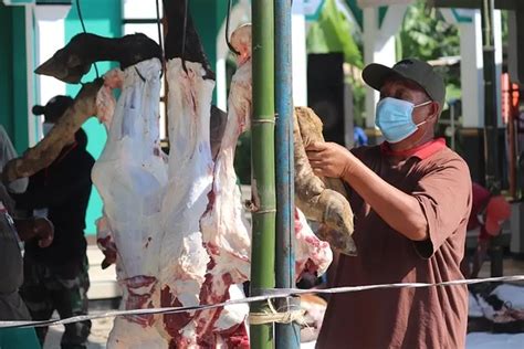 Rekomendasi Cara Mengolah Daging Kurban Idul Adha 2023 Gulai Cincang