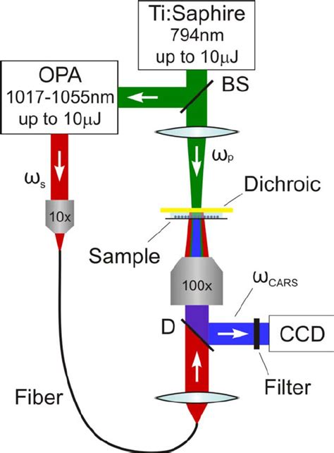 Experimental Setup Layout BS 20 Beam Splitter D Dichroic Mirror