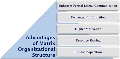 Types Of Matrix Organizational Structure