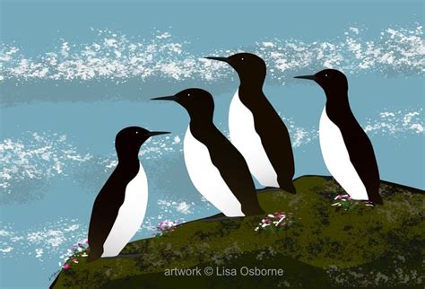 Guillemots Bird Art Print Coastal Birds In 2024 Bird Art Print