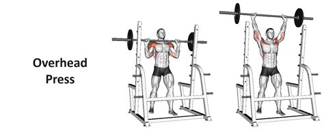 Overhead Press: Technique, Benefits, Alternatives, and More Explained ...