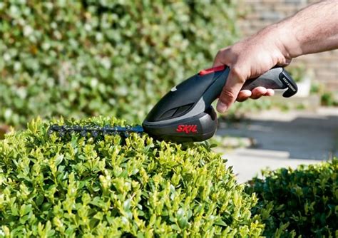 When And How To Prune Garden Hedges Tips For Beginner Gardeners