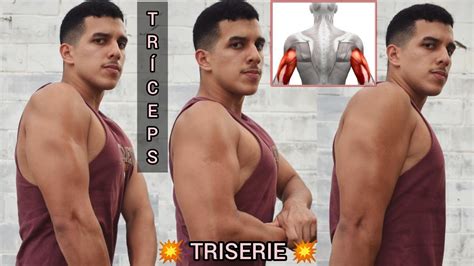 Intensa Rutina De Tr Ceps Para La Hipertrofia De Tus Brazos Triserie