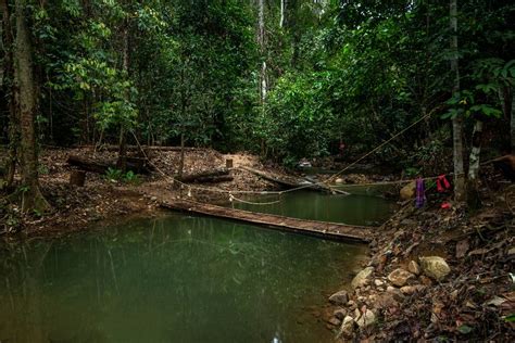 Taman Eko Rimba Taka Melor