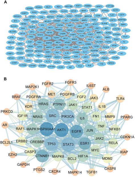 Investigating Jingtian Granules Anti Renal Fibrosis Mechanism Using