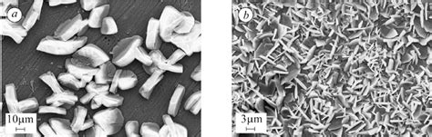 The effect of the type of phosphating process [unmodified (a) or ...