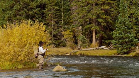 Premium Photo Fly Fisherman At Taylor River Colorado