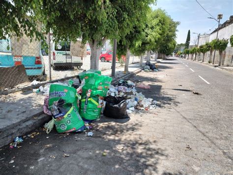 Basura en las calles lixiviados problemas que crecen más