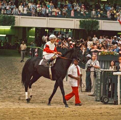 Ruffian on the track for her final race in 1975 (by Tony Leonard ...