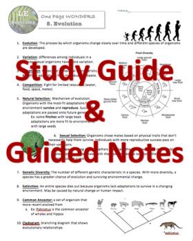 Evolution Living Environment Regents Review One Page Wonder Tpt