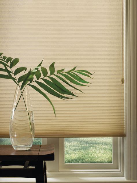 Duette Architella By Hunter Douglas Honeycomb Shades Eclectic Window