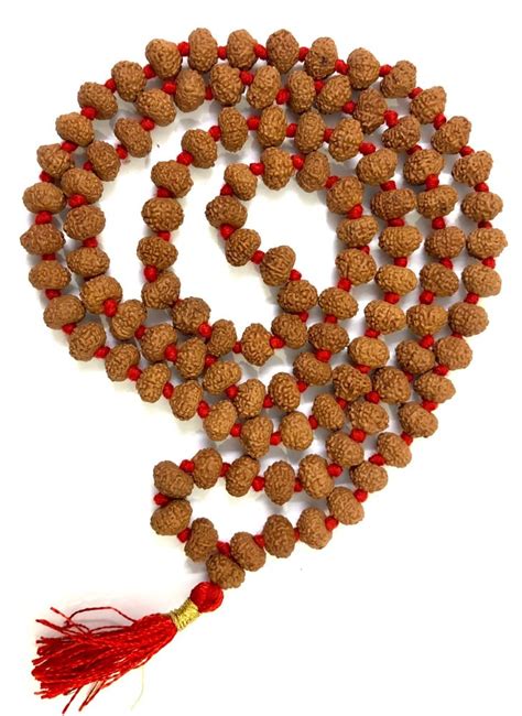 Brown Natural Mukhi Rudraksha Mala Size Medium At Rs In New Delhi