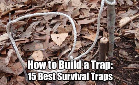 How to Build a Trap: 15 Best Survival Traps - SHTF & Prepping Central