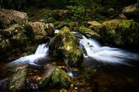 878487 4K Lake District Ullswater Cumbria England Forests Stones