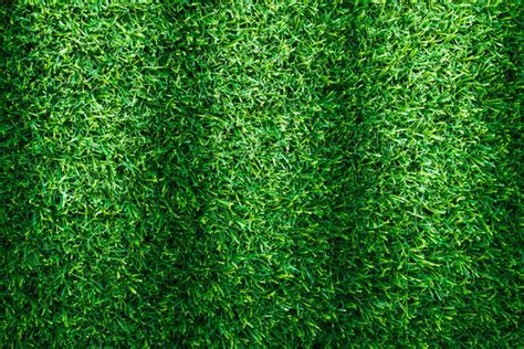 "Grass Pattern" Images – Browse 1,179 Stock Photos, Vectors, and Video ...