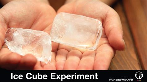 Ice Cube Melting Science Project