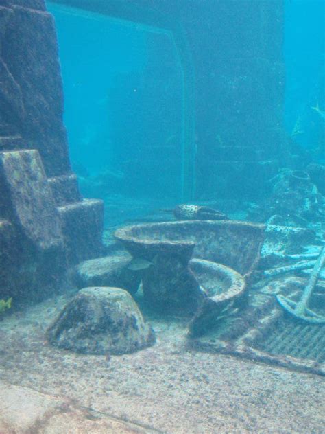 Lost City Of Atlantis Artifacts