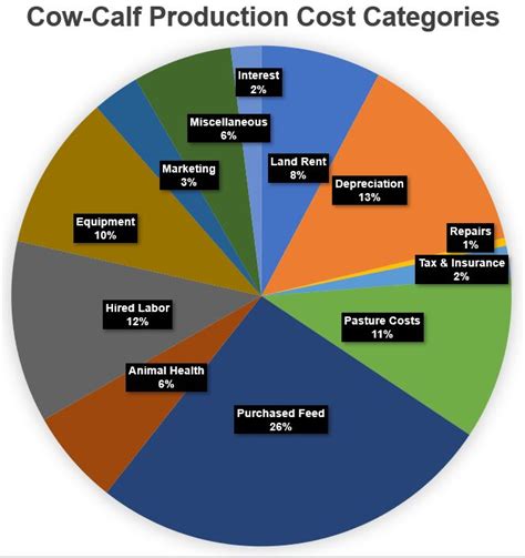 Managing Cattle Herd Profitability with Rising Input Costs | Panhandle Agriculture