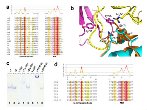 Specificity Of Antibody Receptor Binding A Multiple Sequence