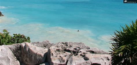 What Is The Best Month To Cruise The Mexican Riviera