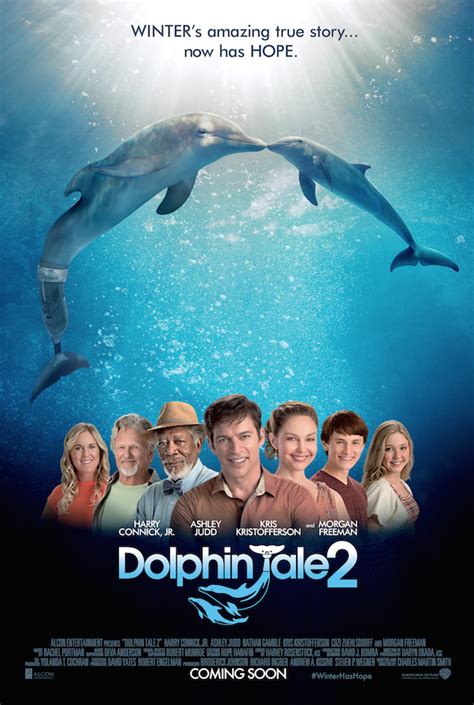 New Competition Win Giant Toy Dolphins For Dolphin Tale 2 Littlestuff