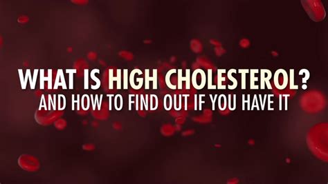 High Cholesterol The 25p Herb Shown To Lower Unhealthy Levels Daily