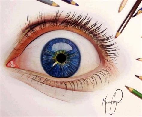 Eye Color Pencil Drawing At Explore Collection Of