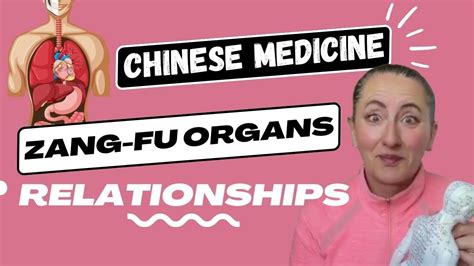 The Yin And Yang Organs Relationships In Chinese Medicine Zang Fu Youtube