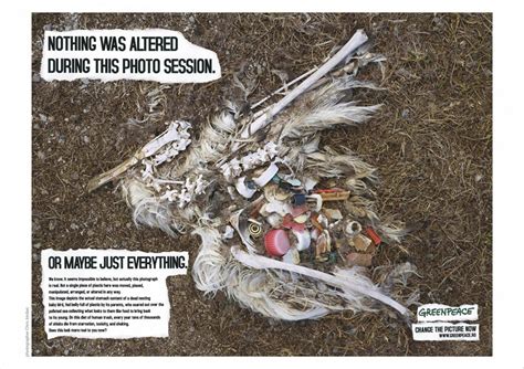 Greenpeace: Change the picture now | ad Ruby