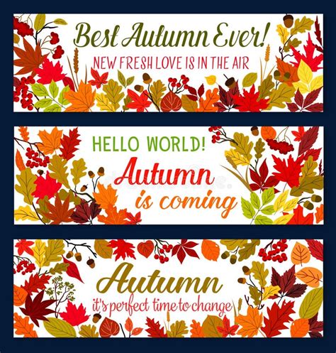 Autumn Season Welcoming Banner With Fallen Leaf Stock Vector