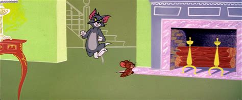 Image Timid Tabby Tom Chases Jerry Png Tom And Jerry Wiki Fandom Powered By Wikia