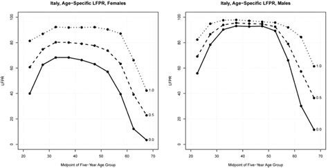 Hypothetical Age And Sex Specific Labor Force Participation Rates For