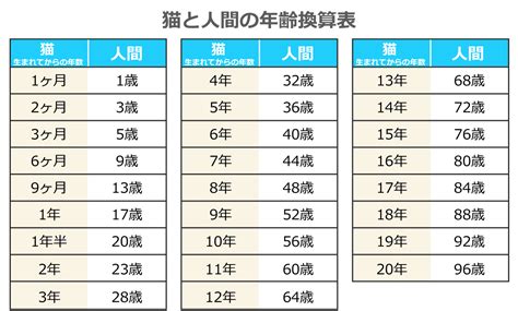 猫の平均寿命は何歳？野良と室内猫の違いや人間での年齢換算を紹介｜アクサダイレクト