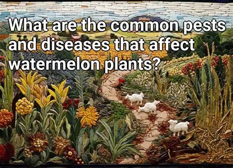 What Are The Common Pests And Diseases That Affect Watermelon Plants Agriculture Gov Capital