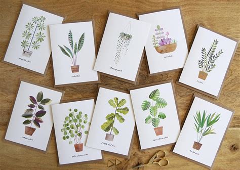 House Plant Card Set Pack Of 10 Greeting Cards With Plant Etsy Plant