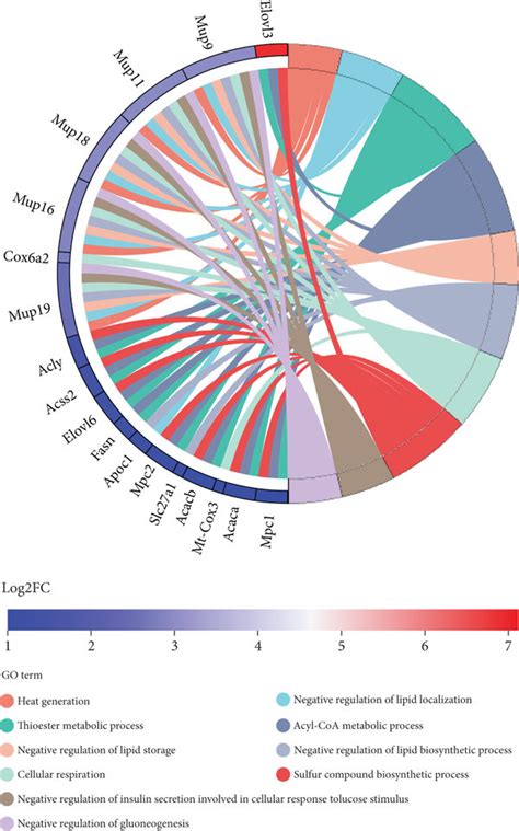 Transcriptomics Based Screening Of Differential Gene Expression