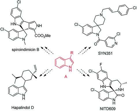 Cu Catalyzed β Functionalization Of Saturated Ketones With Indoles A