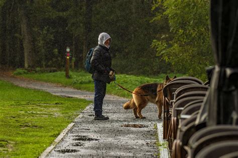 Beestjes In Nesten By Sheldon De Kudbelg