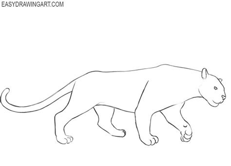 how to draw a panther paw