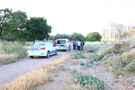 İzmir de Zeytinlik Alanda Erkek Cesedi Bulundu Haberler